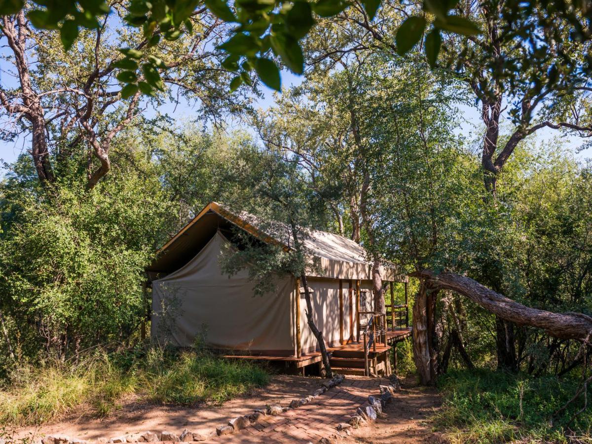 Aha Thakadu River Camp Madikwe Game Reserve Extérieur photo